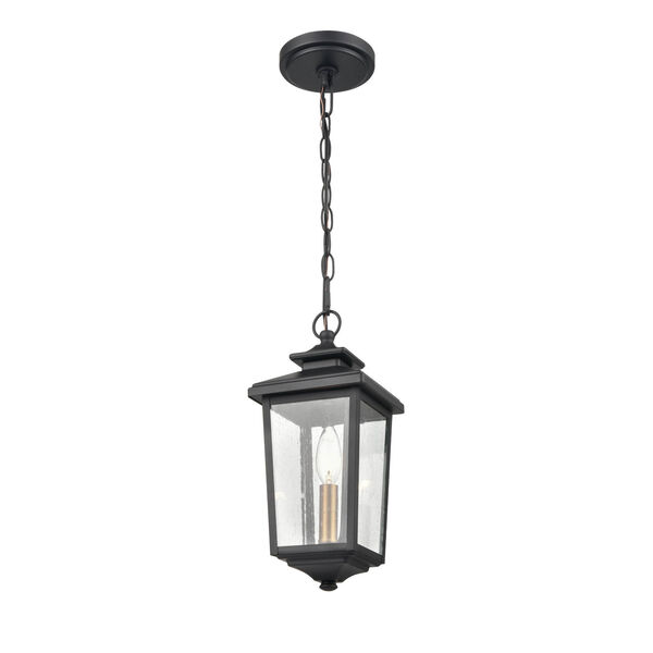 Eldrick Powder Coat Black One-Light Outdoor Hanging Lantern, image 1
