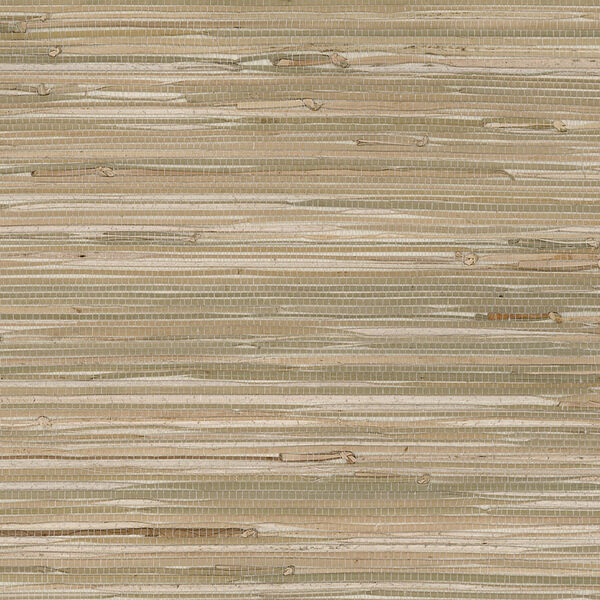 Fine Seagrass Green and Beige Wallpaper, image 1