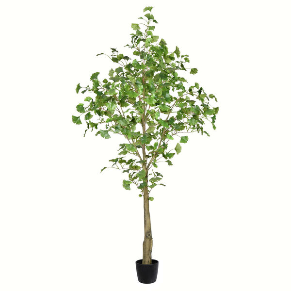 Green Potted Ginko Tree with 702 Leaves, image 1