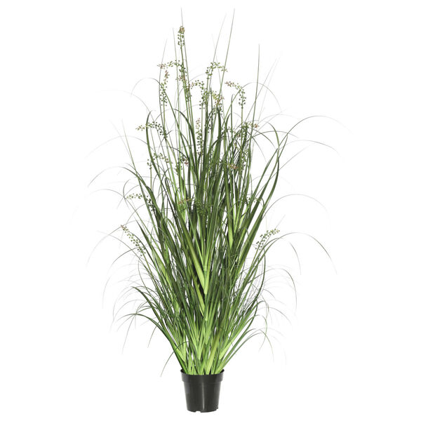 Green Sheeps Grass in Pot, image 1