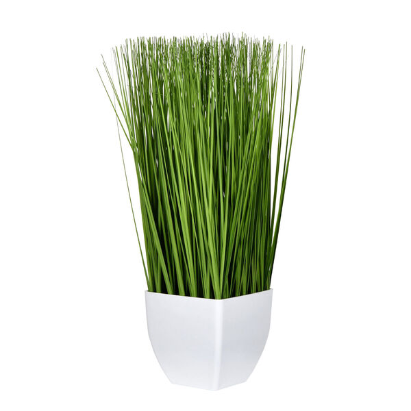 Green Potted Grass with White Pot, image 1