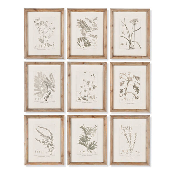 Multicolor Botanical Illustrations Wall Art, Set of Nine - (Open Box), image 1