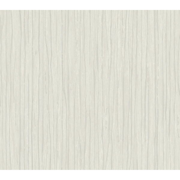 Antonina Vella Elegant Earth Light Gray Temperate Veil Stripes Wallpaper, image 2