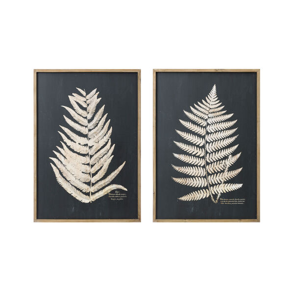 Collected Notions Black Wood Framed Wall Decor with Fern Leaf - Set of 2, image 1