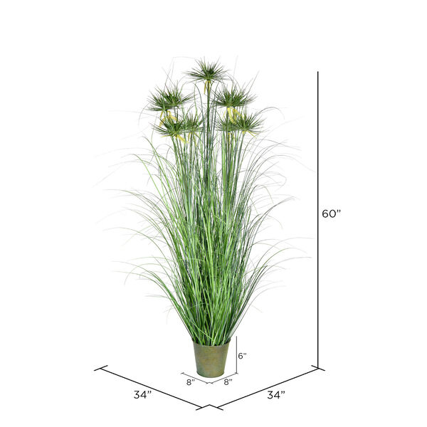 Green 60-Inch Cyperus Grass with Iron Pot, image 2