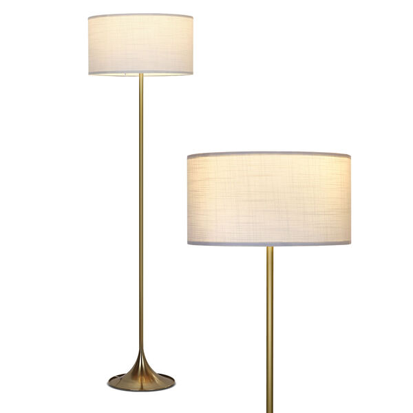 Quinn Brass LED Floor Lamp, image 1