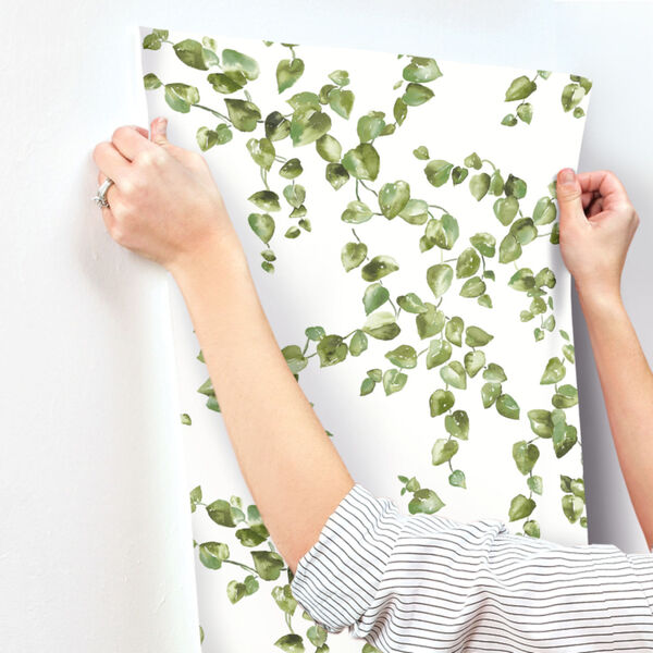 Simply Farmhouse Green and White Creeping Fig Vine Wallpaper, image 5