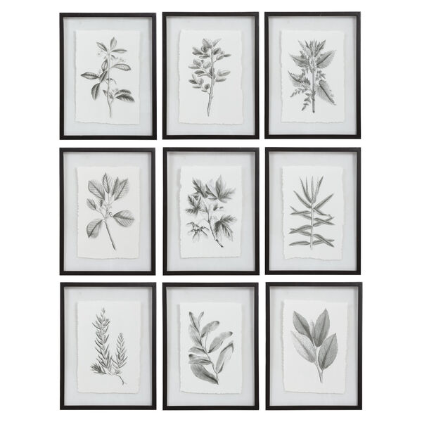 Farmhouse Florals Black and White Framed Prints, Set of 9, image 2