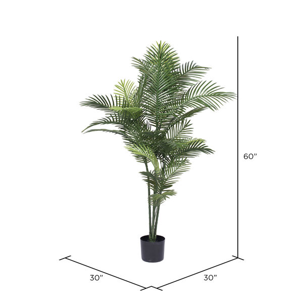 Green Robellini Palm Tree with 34 Leaves, image 2
