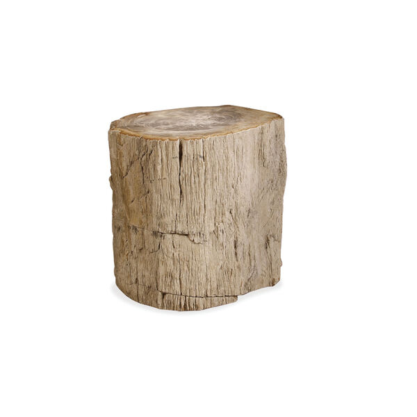 Petrified Brown Wood Side Table, image 1