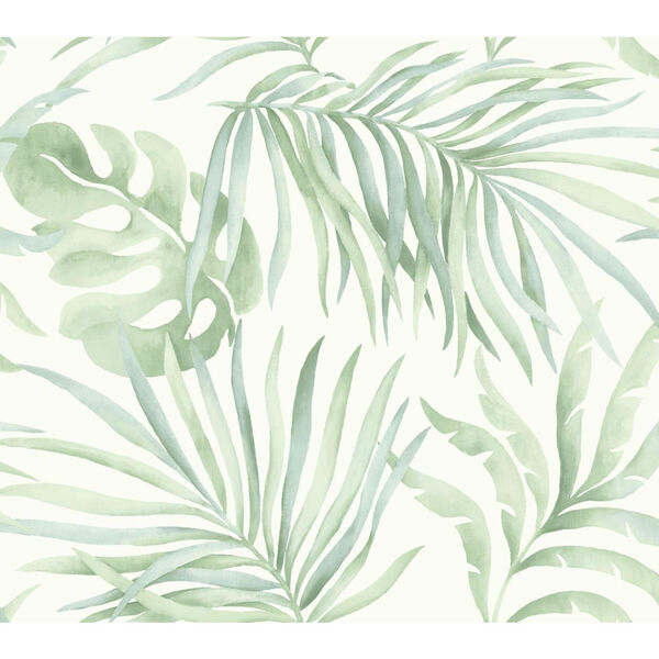 Candice Olson Tranquil Light Green Palm Wallpaper - SAMPLE SWATCH ONLY, image 1