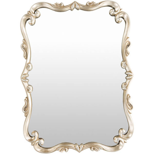 Aster Rectangular Champagne Wall Mirror, image 1