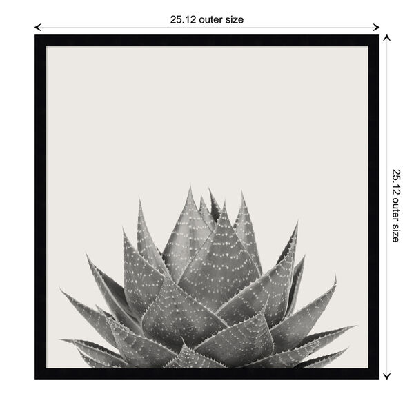 The Creative Bunch Studio Black Haze Aloe Succulent 25 x 25 Inch Wall Art, image 4