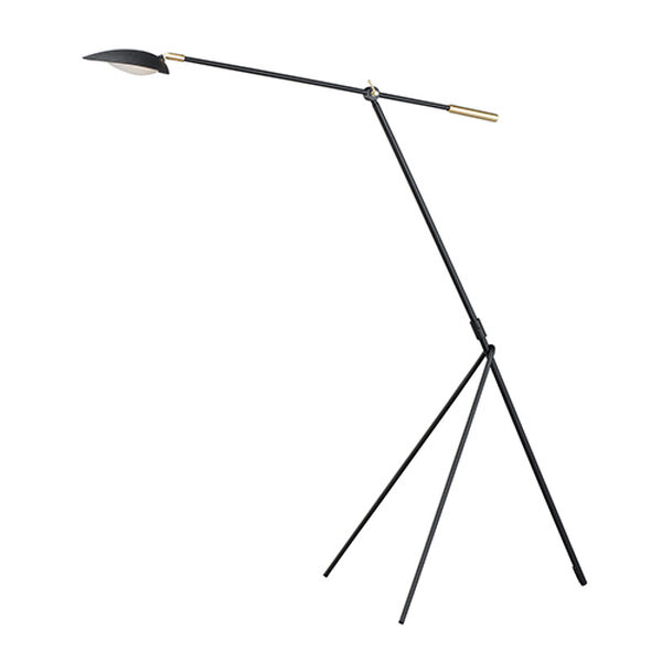 Scan Black and Satin Brass Integrated LED Floor Lamp, image 1