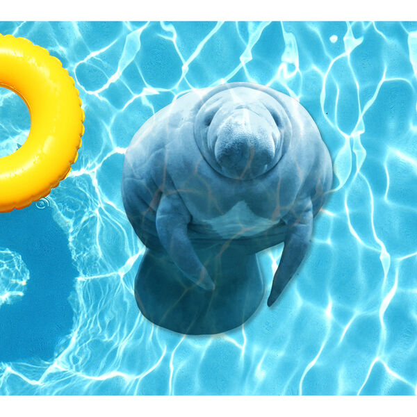 Grey Manatee Underwater Pool Mat, image 1