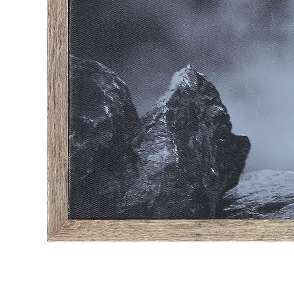 Terrain Black  and White Donkey on Canvas Framed Wall Decor, image 4