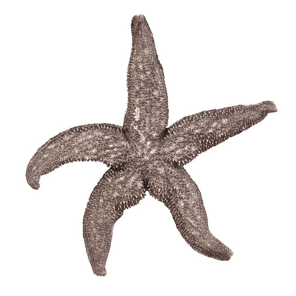 Large Deep Pewter Starfish, image 1