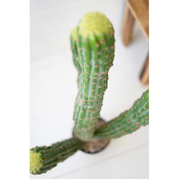 Black Artificial Multi Trunk Cactus in a Plastic Pot, image 2