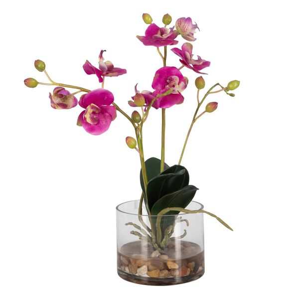Glory Orchid Pink Natural Clear Fuchsia Orchid In Glass Container, image 3