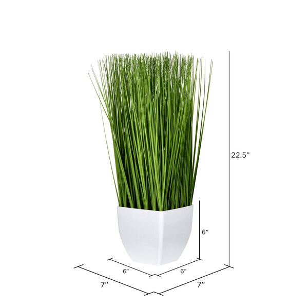 Green Potted Grass with White Pot, image 2