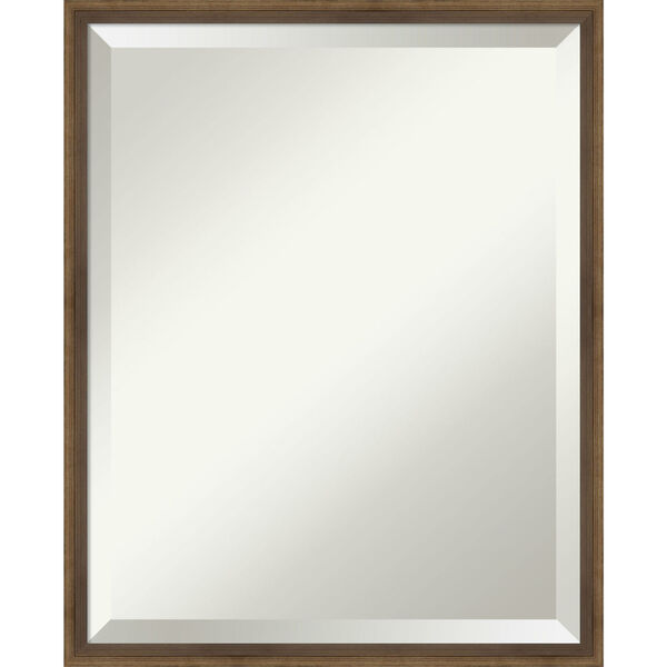 Lucie Bronze 17W X 21H-Inch Bathroom Vanity Wall Mirror, image 1