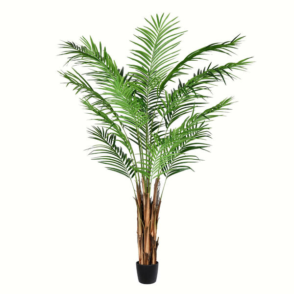 Green Potted Areca Palm with 567 Leaves, image 1