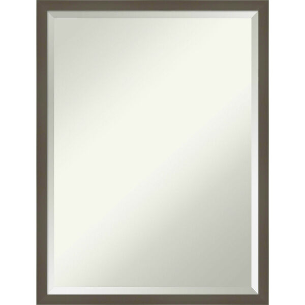 Svelte Gray 19W X 25H-Inch Decorative Wall Mirror, image 1