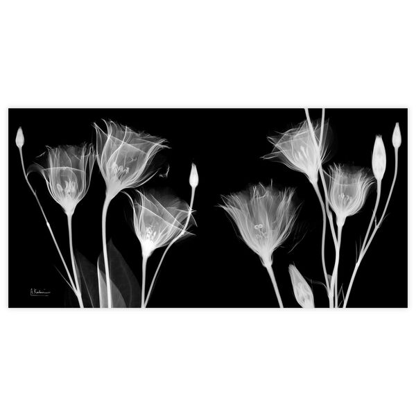 Gentian X-ray Frameless Free Floating Tempered Glass Graphic Wall Art, image 2