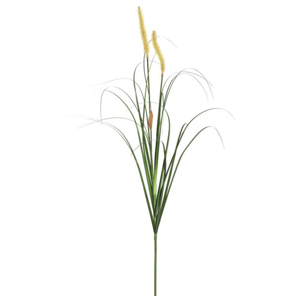 Multicolor 60-Inch Foxtail Grass in Pot, image 2