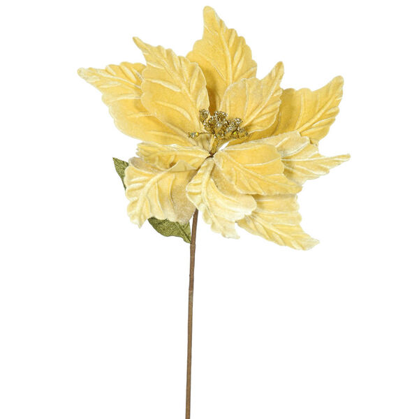 Gold Poinsettia, Set of Six, image 1