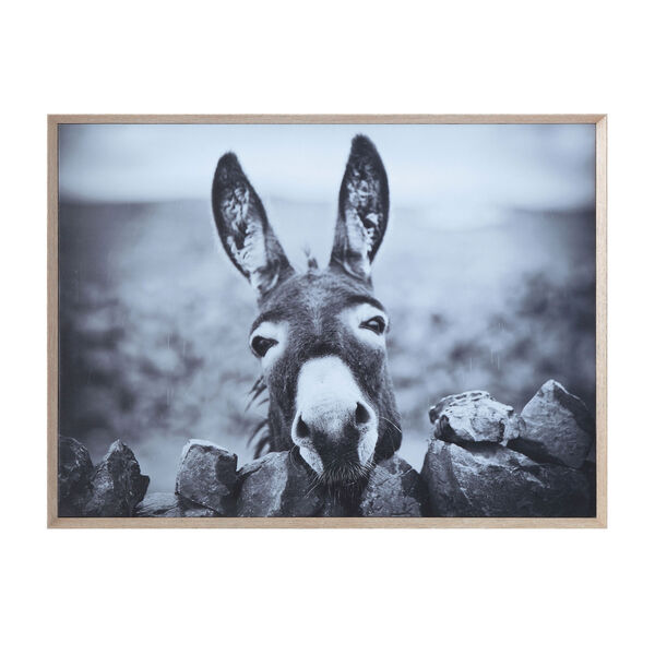 Terrain Black  and White Donkey on Canvas Framed Wall Decor, image 1
