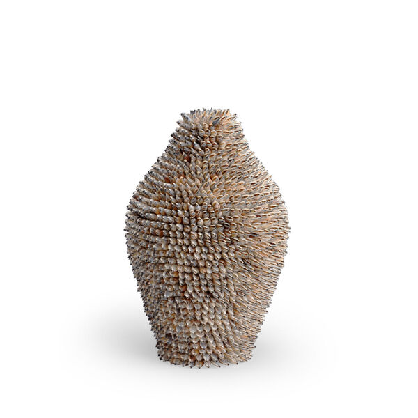 Strombus Natural Shell Urn, image 1