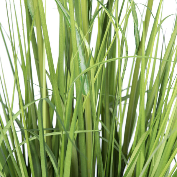Green Potted Bamboo Grass, image 3