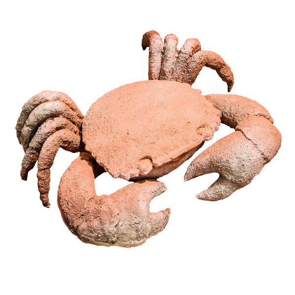Stone Crab, image 1