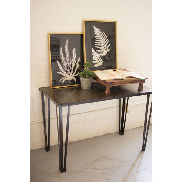 Black and White Fern Prints Under Glass, Set of Two, image 1