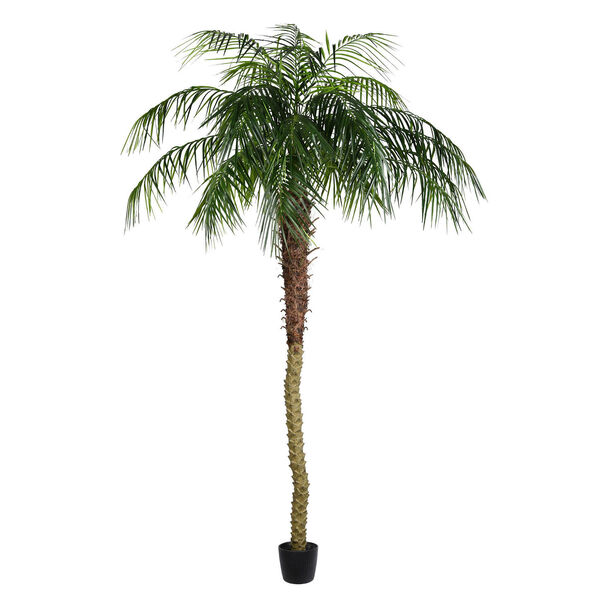 Green Potted Phoenix Palm Tree with 1095 Leaves, image 1