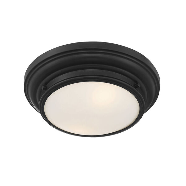Whittier Matte Black Two-Light Flush Mount with Round Glass, image 4