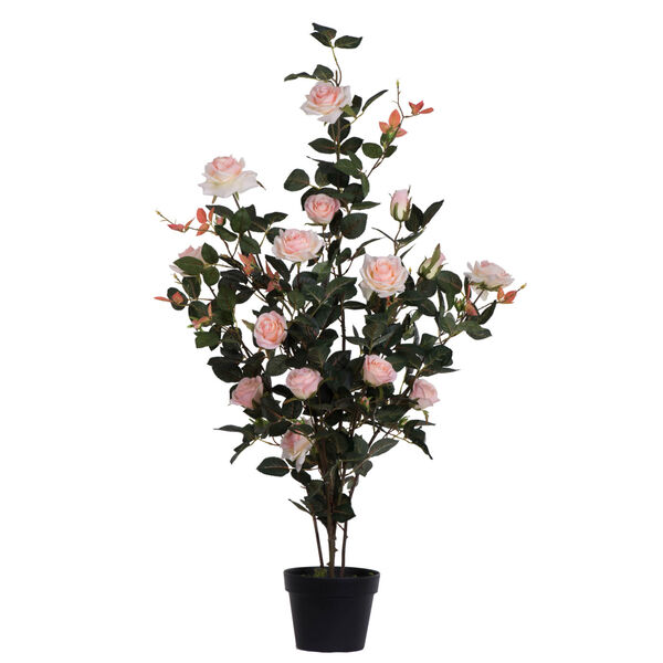 Pink 45-Inch Rose Plant in Pot, image 1