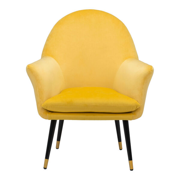 Alexandria Yellow, Black and Gold Accent Chair, image 4