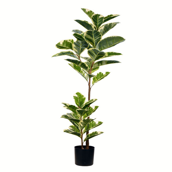 Green Potted Oak Tree with 46 Leaves, image 1