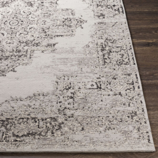 Amsterdam Taupe and Beige Rectangular: 2 Ft. x 3 Ft. Rug, image 3