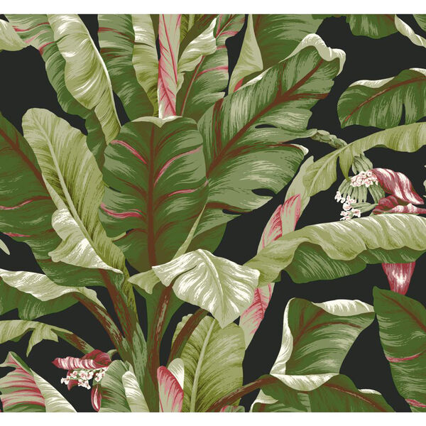 Ashford House Tropics Black and Green Banana Leaf Wallpaper, image 1