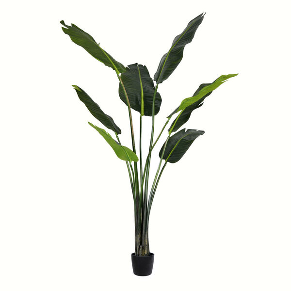 Green Potted Travelers Palm with 8 Leaves, image 1