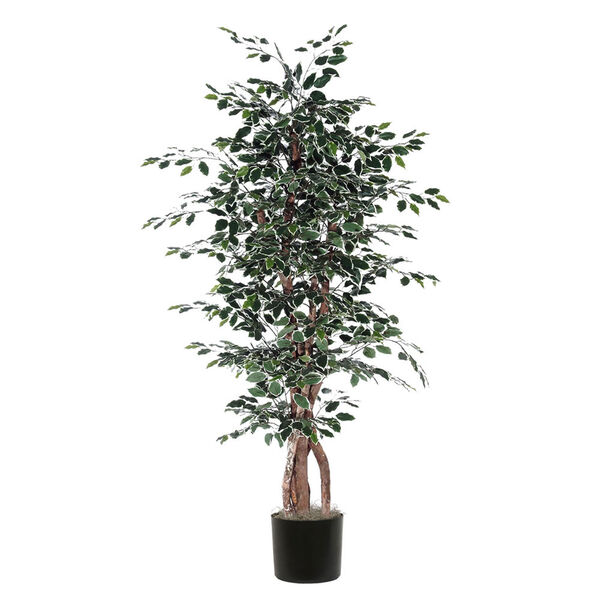 Green 6 Foot Executive Variegated Ficus Tree, image 1