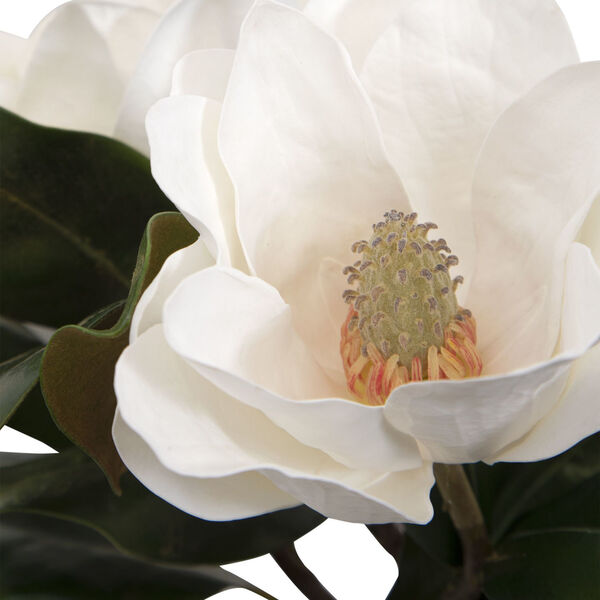Middleton Multicolor Magnolia Flower Centerpiece, image 5