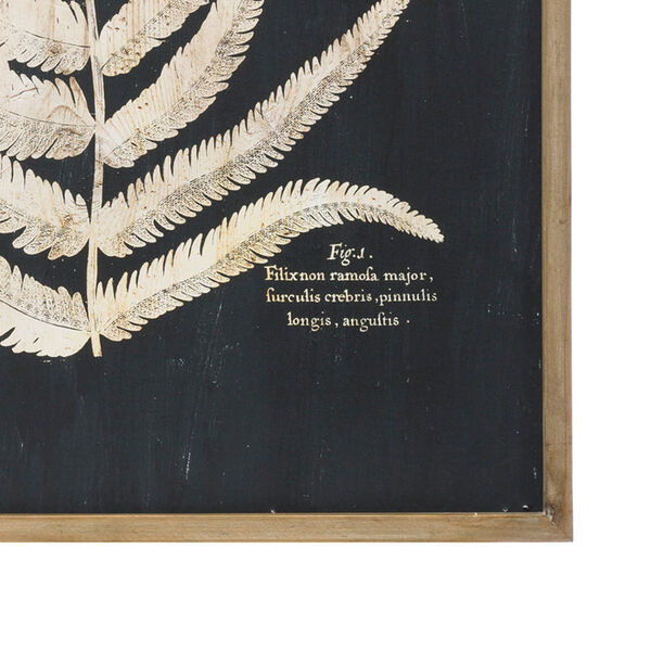 Collected Notions Black Wood Framed Wall Decor with Fern Leaf - Set of 2, image 2