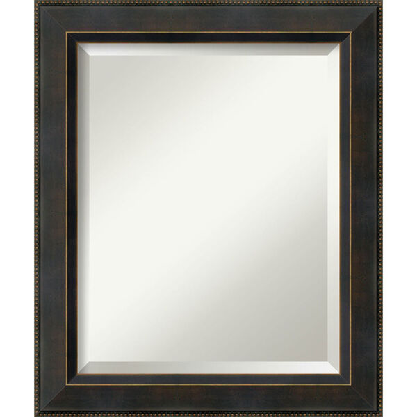 Bronze 20 x 24-Inch Medium Vanity Mirror, image 1