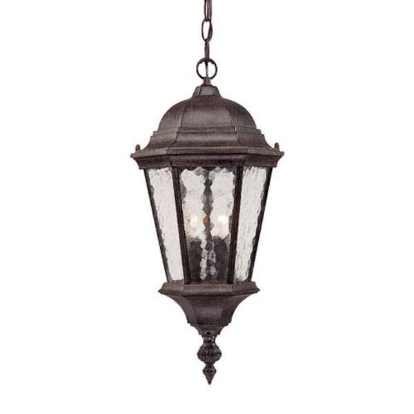 Telfair Black Coral Two-Light 20-Inch Outdoor Pendant, image 1