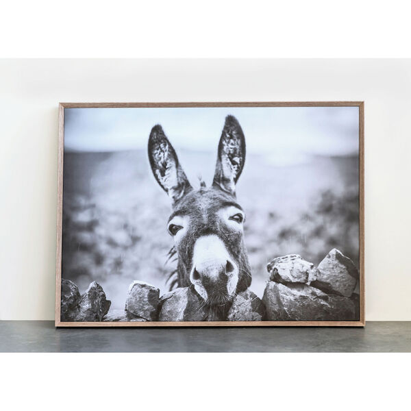 Terrain Black  and White Donkey on Canvas Framed Wall Decor, image 3