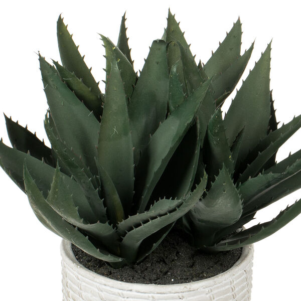 Green Succulent with Concrete Gray Pot, image 2